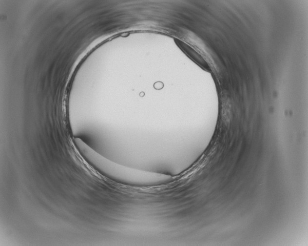 X0000085791292200704131845