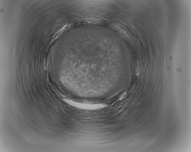 X0000085791298200704131844