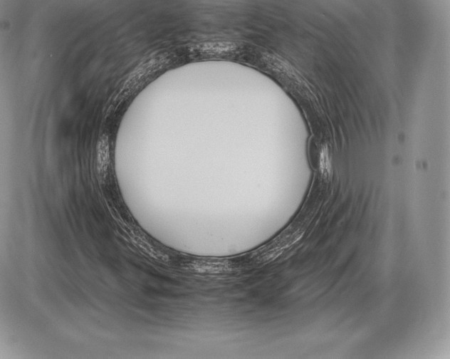 X0000085791299200704131844