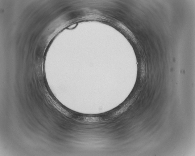 X0000085791322200704131844