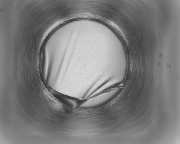 X0000085791326200704131845
