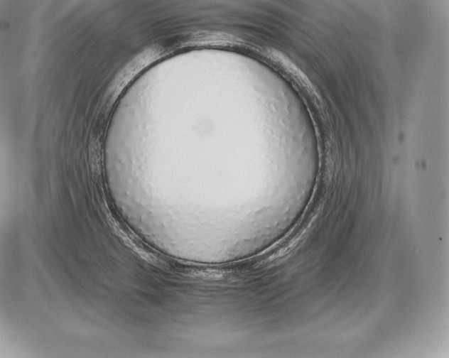 X0000085791329200704131845