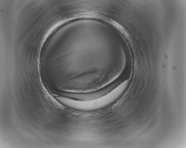 X0000085791334200704131845