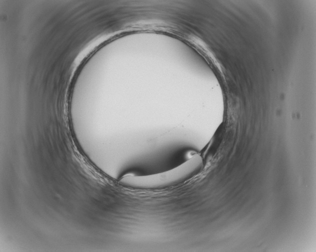 X0000085791336200704131845