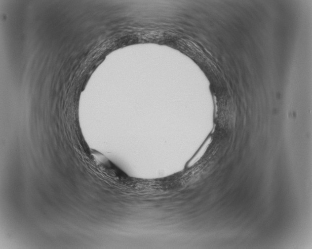 X0000085791345200704131844