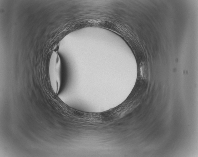 X0000085791347200704131844