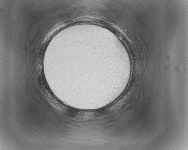 X0000085791355200704131844