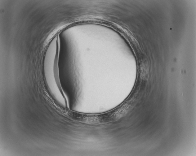X0000085791363200704131844
