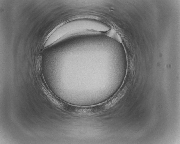 X0000085791369200704131844