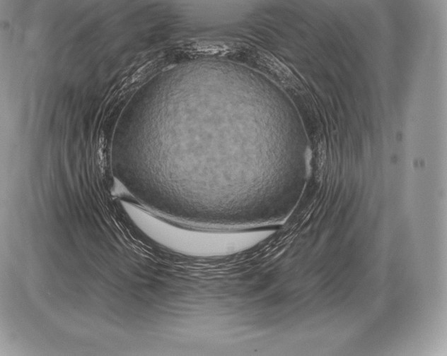 X0000085791394200704131842