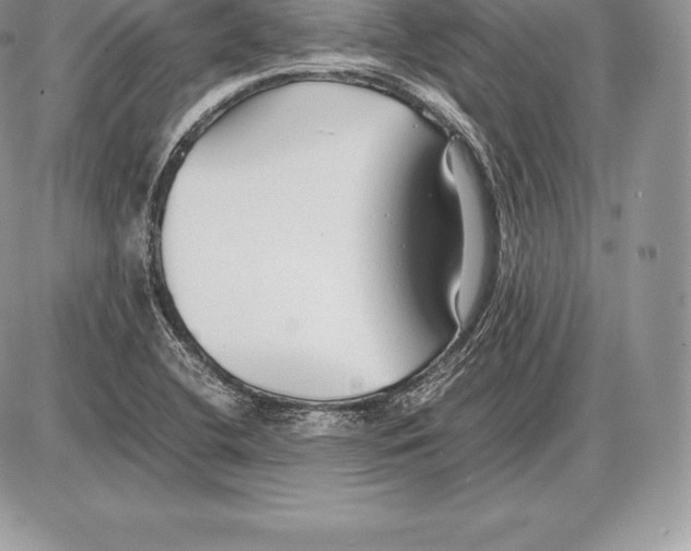 X0000085791412200704131843