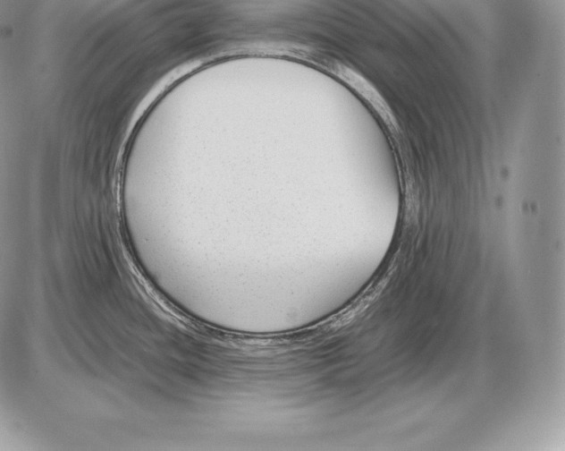 X0000085791436200704131843