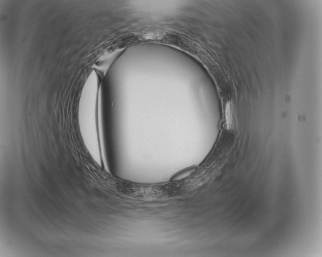 X0000085791443200704131842