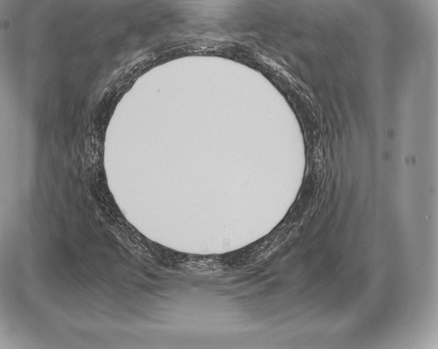 X0000085791447200704131842