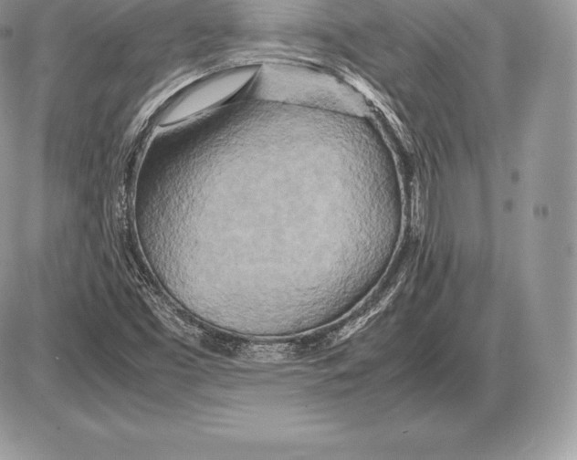 X0000085791453200704131842