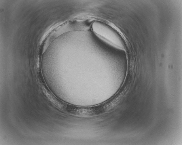 X0000085791461200704131842