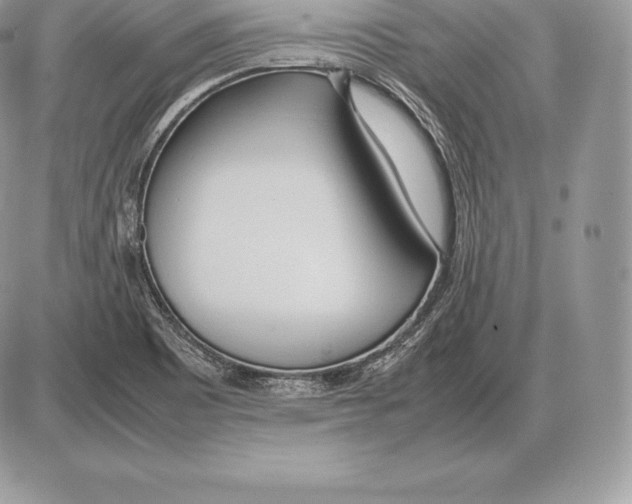 X0000085791465200704131842