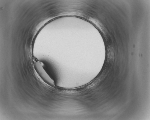 X0000085791468200704131842