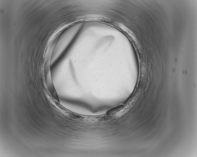 X0000085791473200704131842
