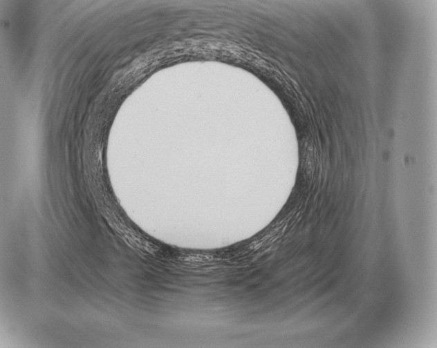 X0000085791489200704131841