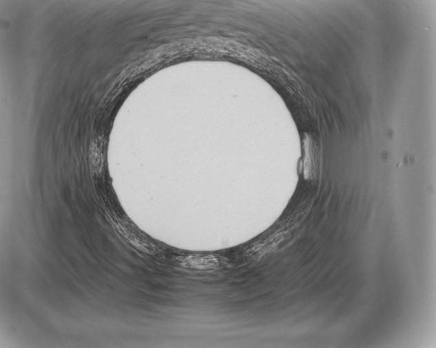 X0000085791491200704131841