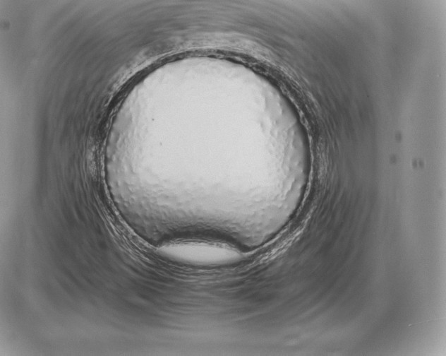 X0000085791497200704131841