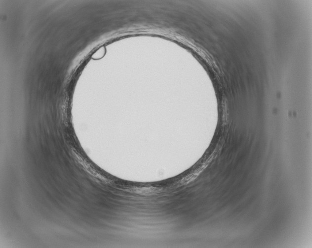 X0000085791502200704131841