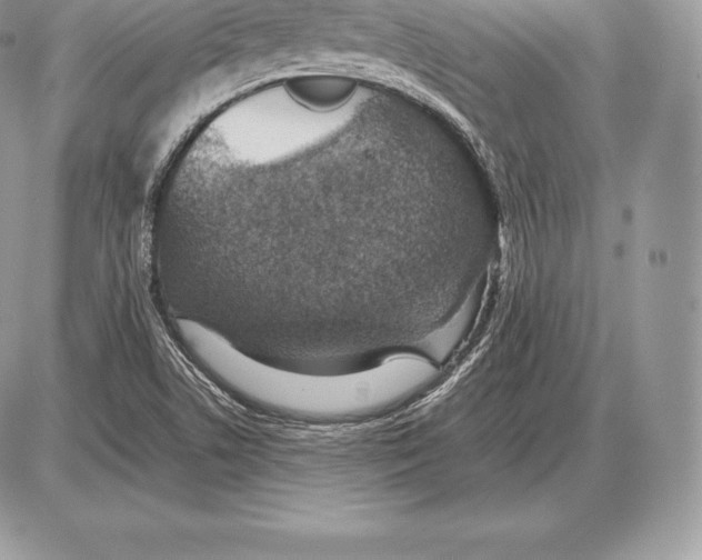 X0000085791506200704131841