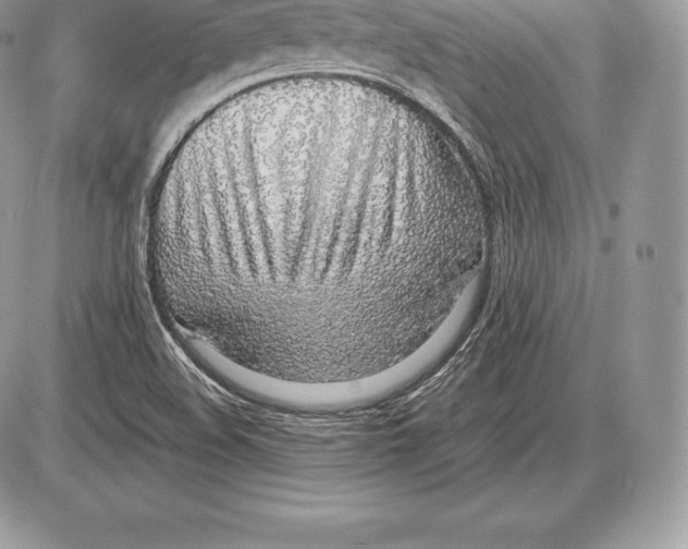 X0000085791508200704131841