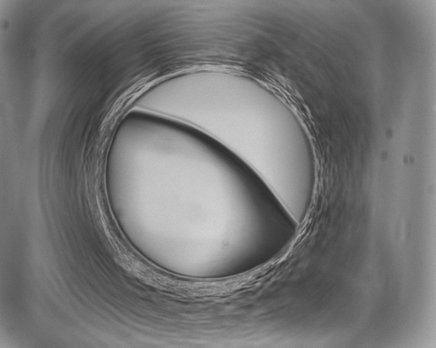 X0000085800001200703161012