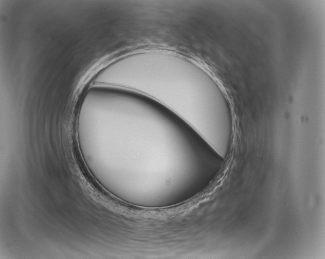 X0000085800007200703161011