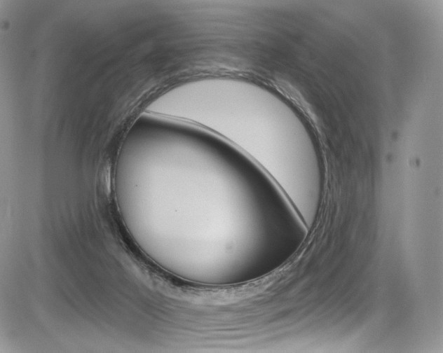 X0000085800021200703161011
