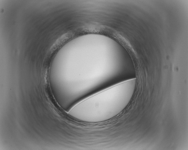 X0000085800023200703161011