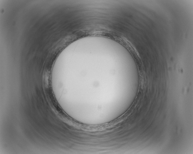 X0000085800026200703161011