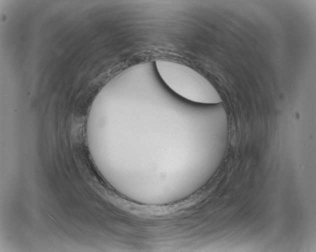 X0000085800034200703161011