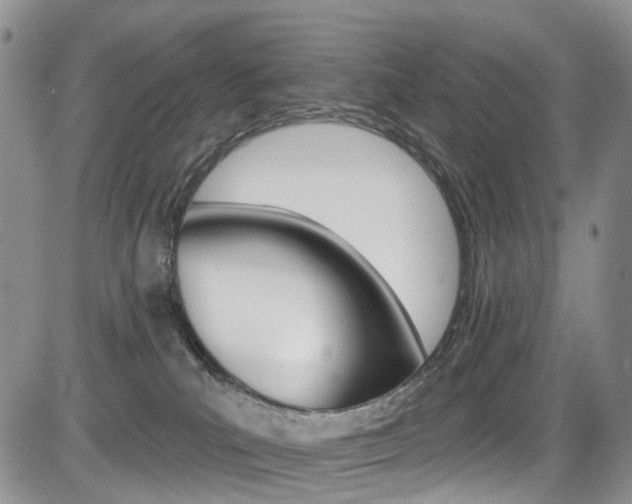 X0000085800039200703161011