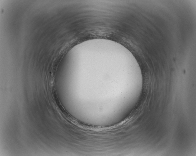 X0000085800040200703161011
