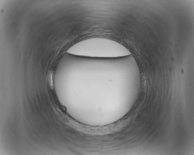 X0000085800042200703161011