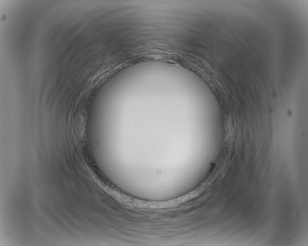 X0000085800043200703161011