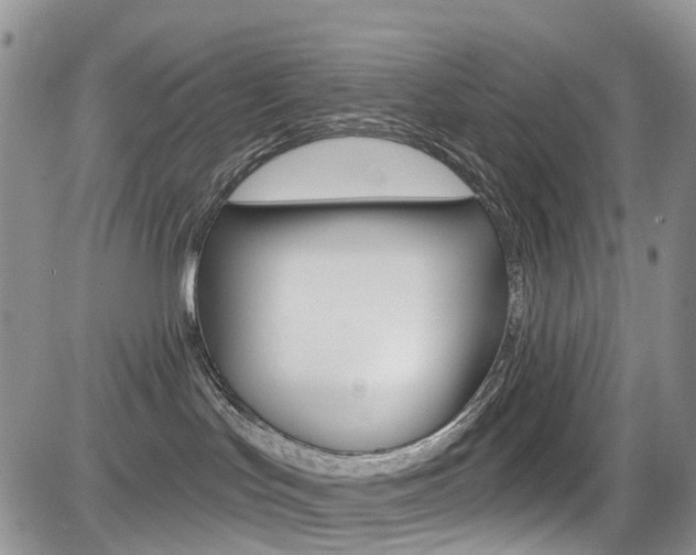 X0000085800047200703161011