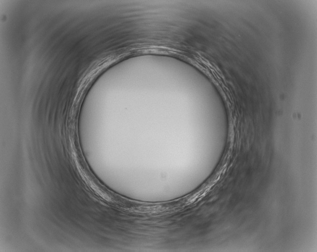 X0000085800049200703161010