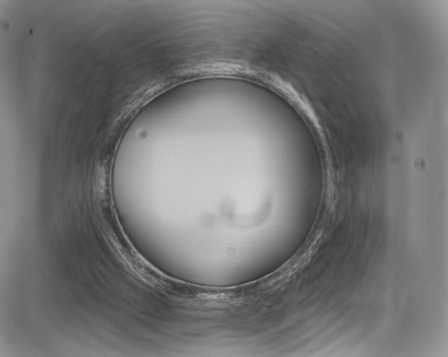 X0000085800057200703161010