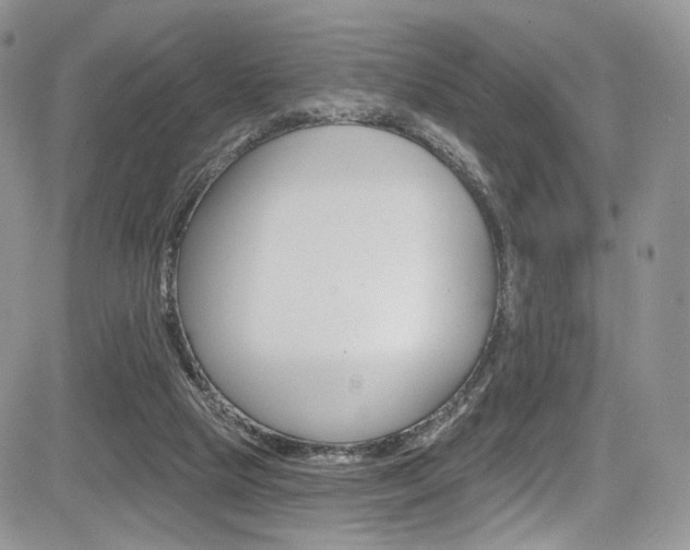 X0000085800065200703161010