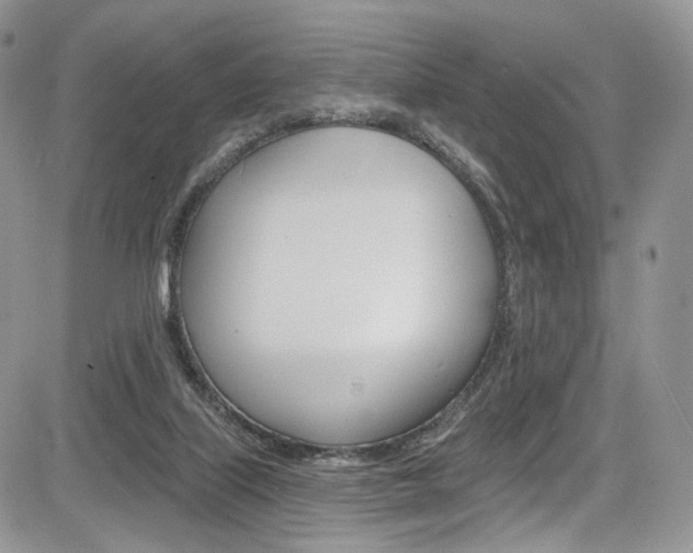 X0000085800067200703161010