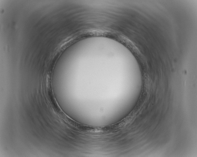 X0000085800071200703161010