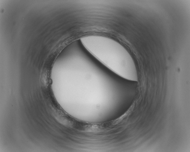 X0000085800074200703161010