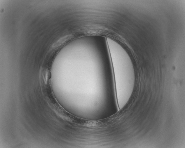 X0000085800076200703161010