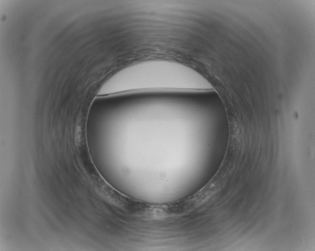 X0000085800080200703161010