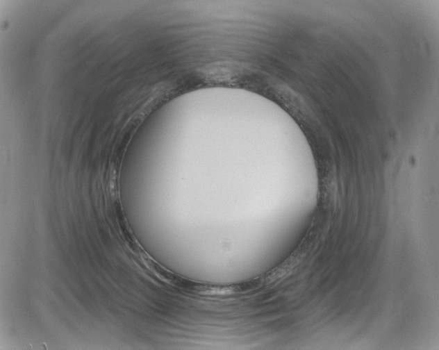 X0000085800081200703161010