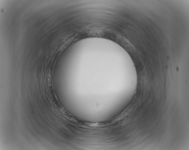 X0000085800083200703161010